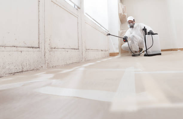 24/7 Emergency Mold Remediation experts in Hainesport, NJ