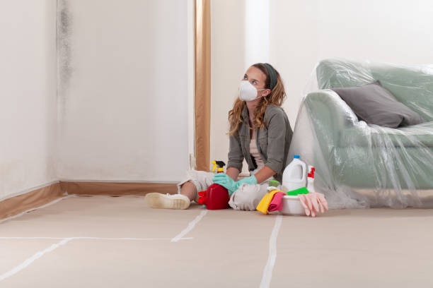 Reliable Mold Remediation contractor in Hainesport, NJ by Car Mold Remediation